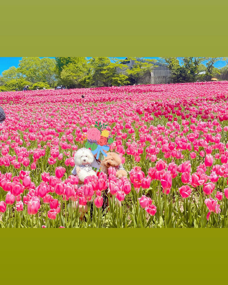 ブログ画像